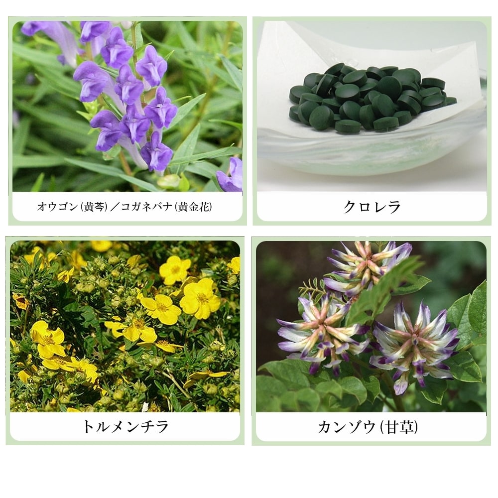 草根木花 ハーブ フェイシャルウオッシュ(ヒアルロン酸配合洗顔フォーム)